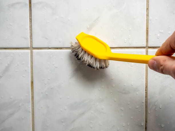 Best Emergency Mold Removal  in Sterling, AK