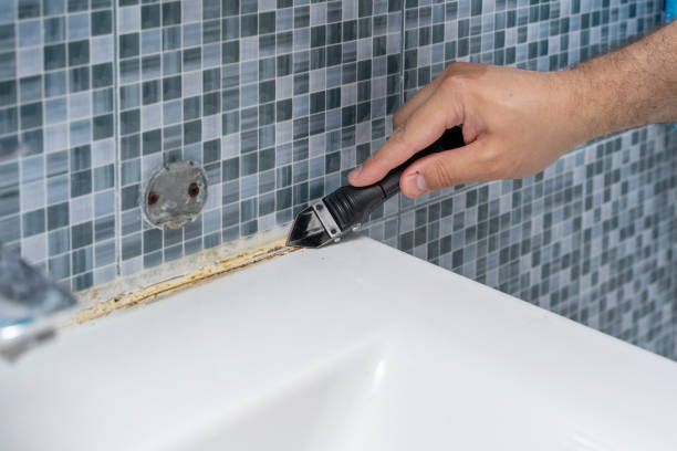Professional Mold Removal in Sterling, AK