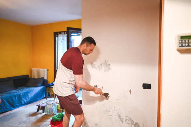 Best Crawl Space Mold Removal  in Sterling, AK